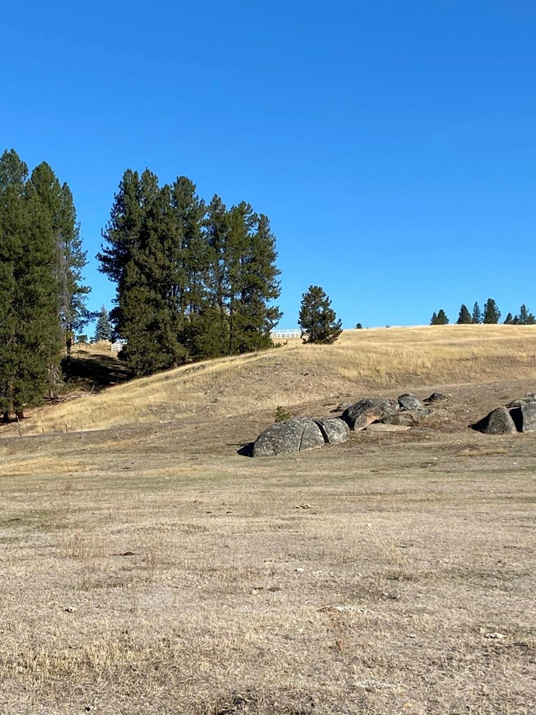 Property Photo:  Lot 7 Empty Saddle Way  ID 83615 