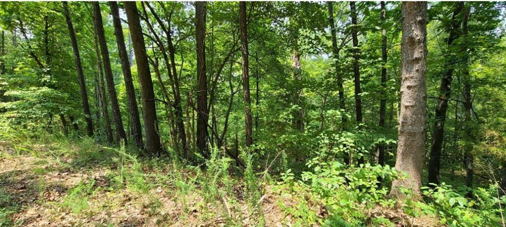 Property Photo:  Lot 33 Dunholme Drive  AR 72714 