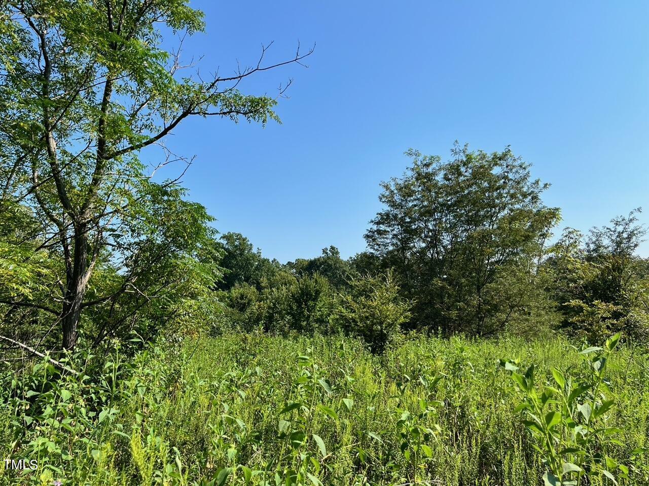 Property Photo: Tbd Bowers Store Road NC 27344