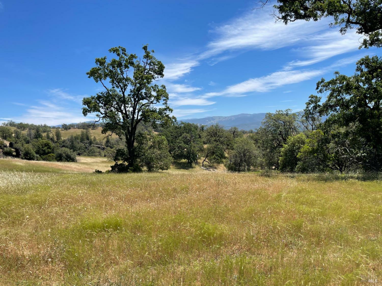 Property Photo:  22551 Rifle Range Road  CA 95428 