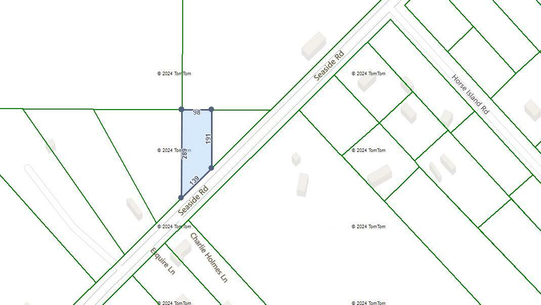 202 Seaside Road  Saint Helena Island SC 29920 photo