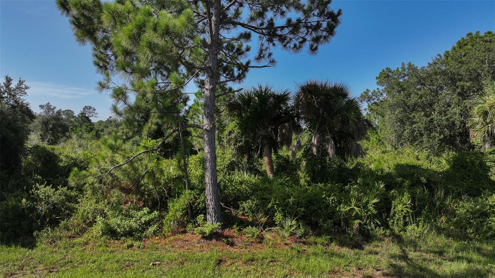 Property Photo: 12189 Grace Avenue FL 33981