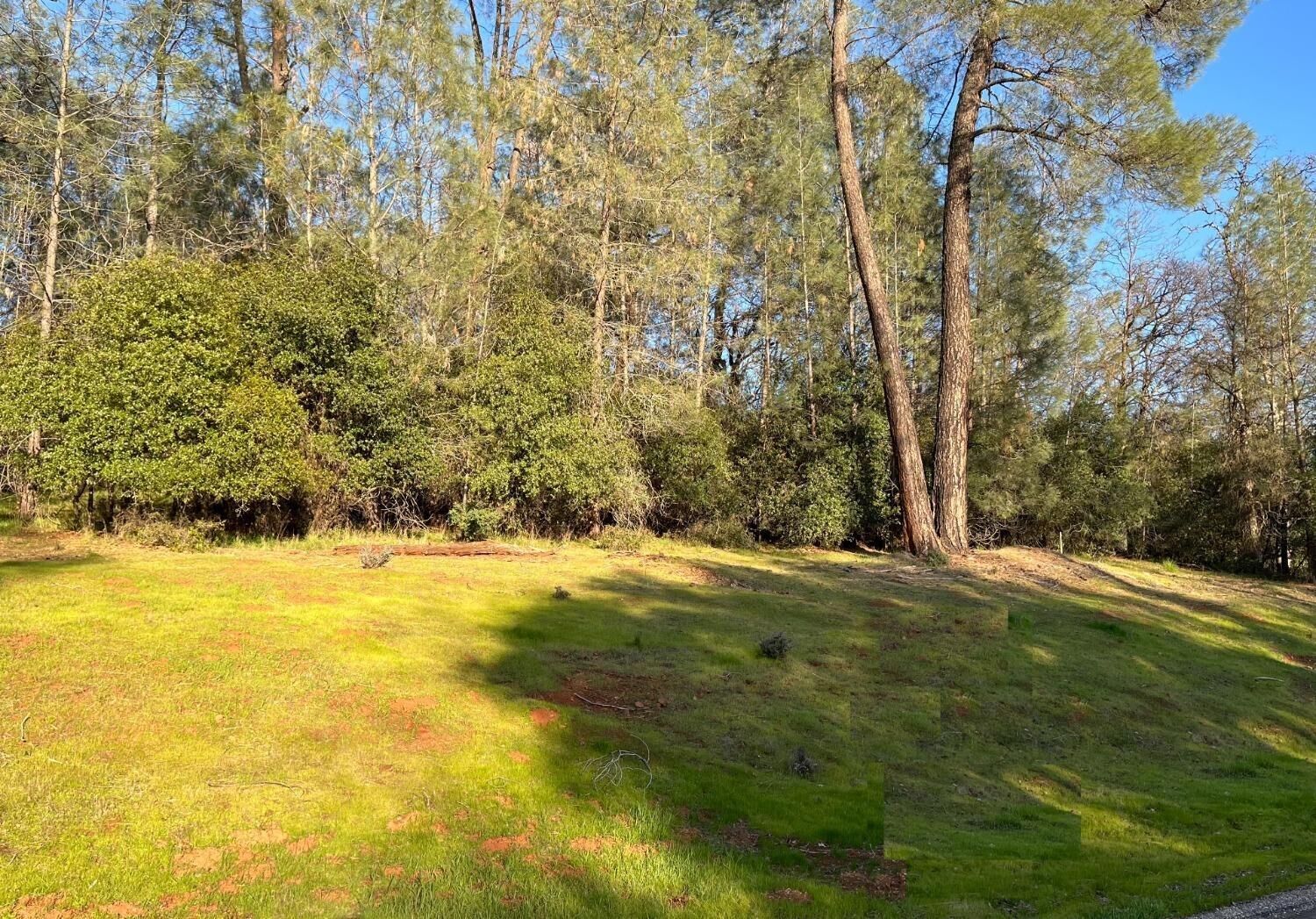 Property Photo:  23395 Darkhorse Drive  CA 95602 