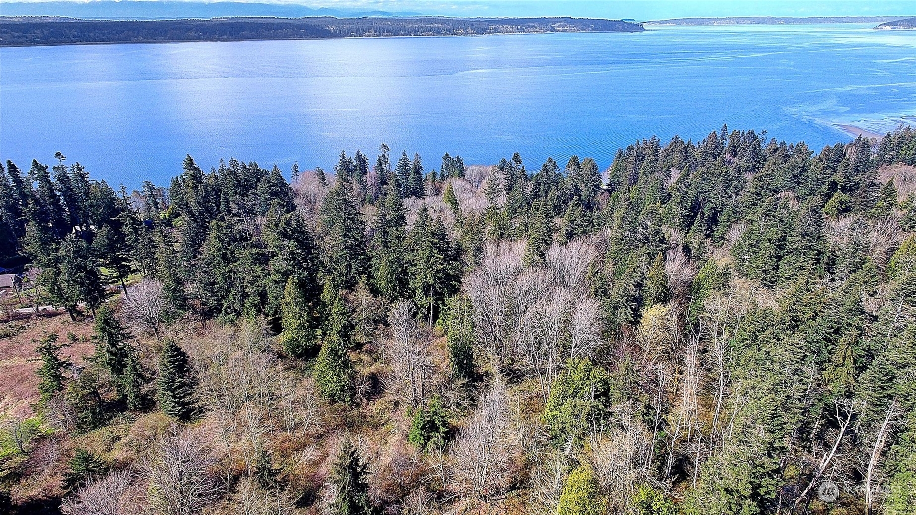1800  Amber View Place  Camano Island WA 98282 photo