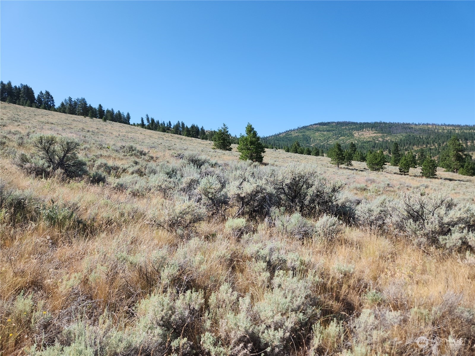 Property Photo:  0 Tbd Reeves Basin Road  WA 98855 