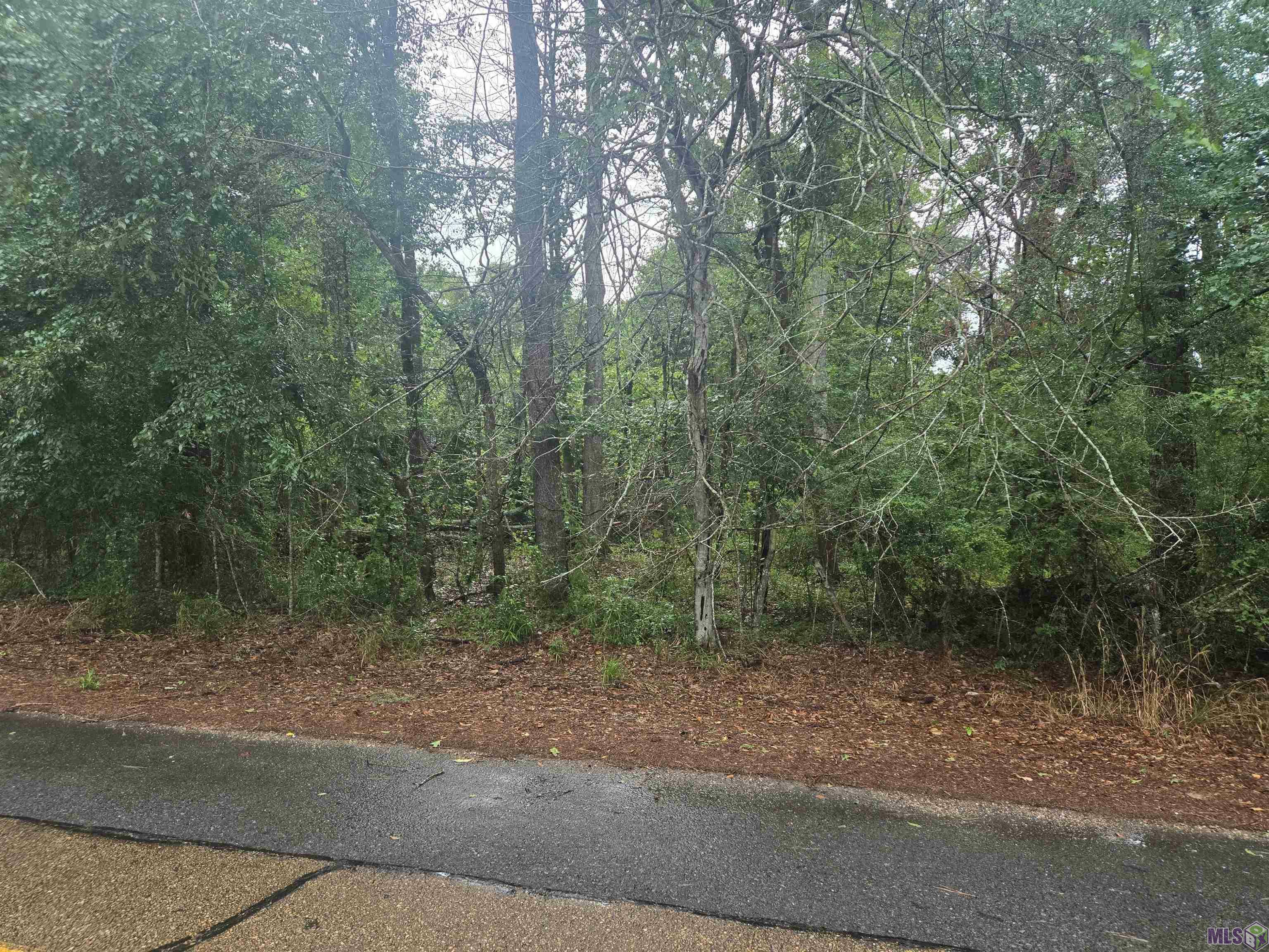 Property Photo:  Lot A Kendalwood Rd  LA 70817 