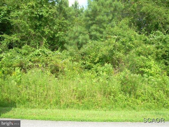 Property Photo: 0 Hunter Drive DE 19968