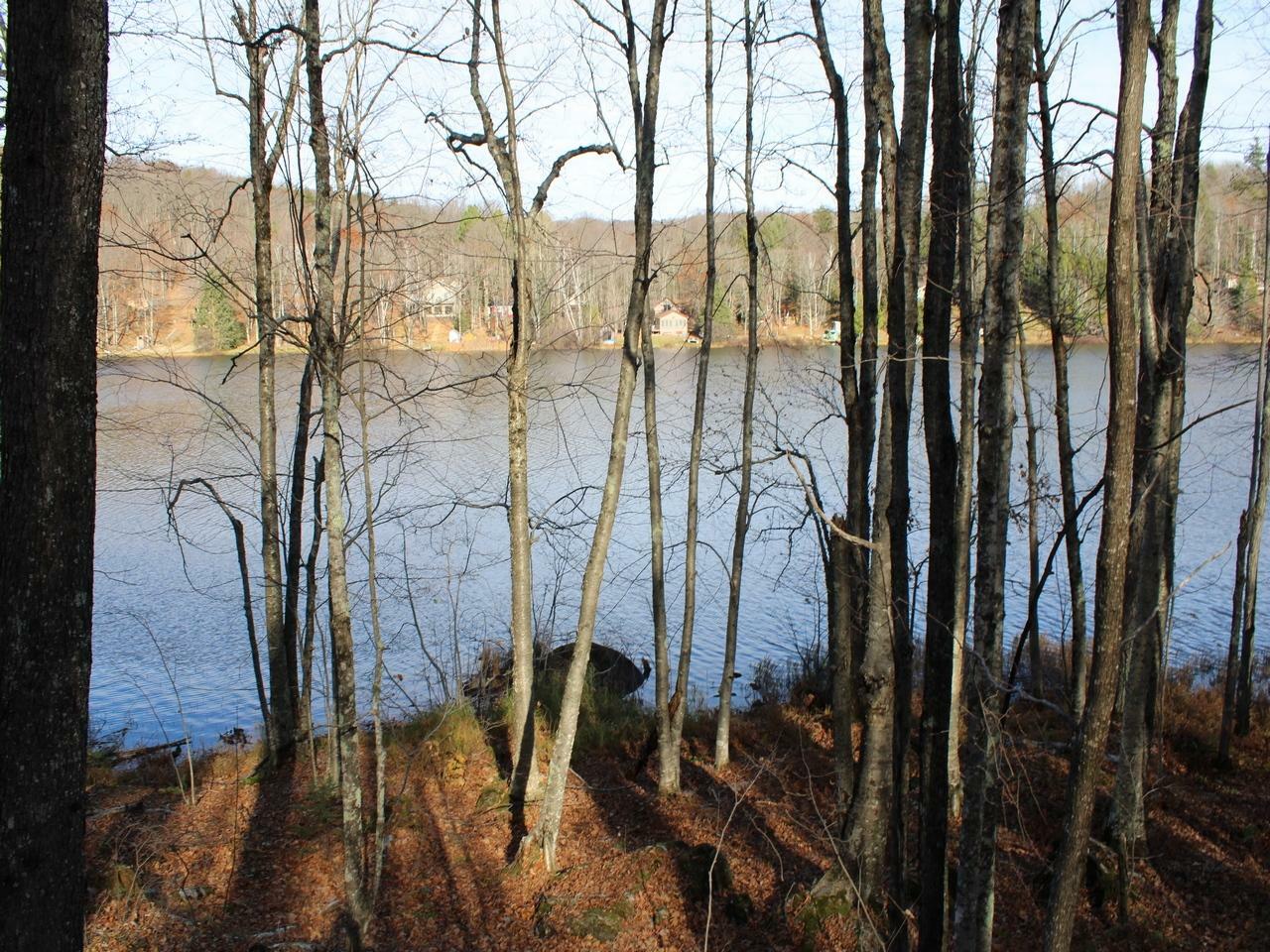 Property Photo:  On Alpine Shores Dr  WI 54565 