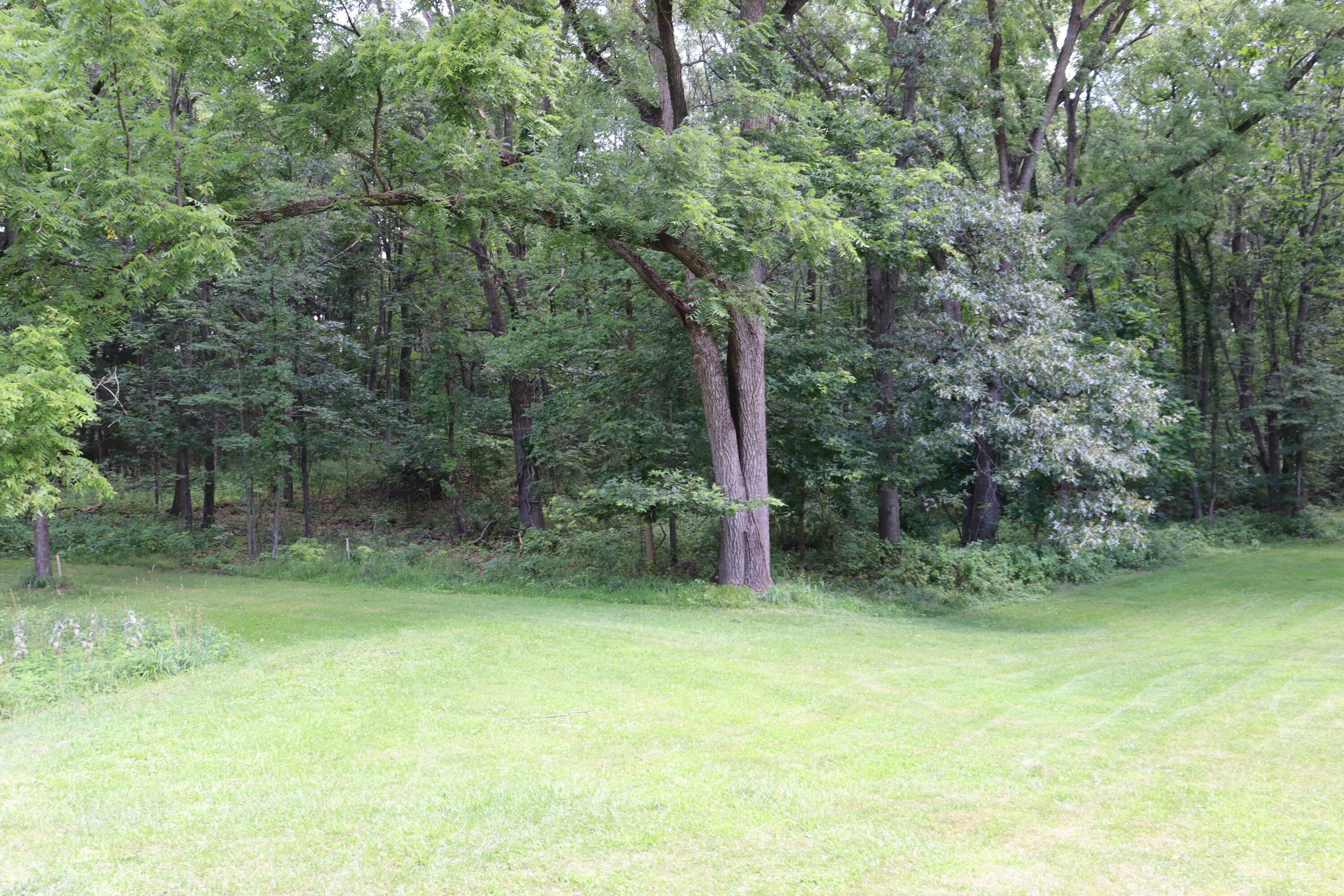 Property Photo:  57519 Lone Tree Road  MI 49093 