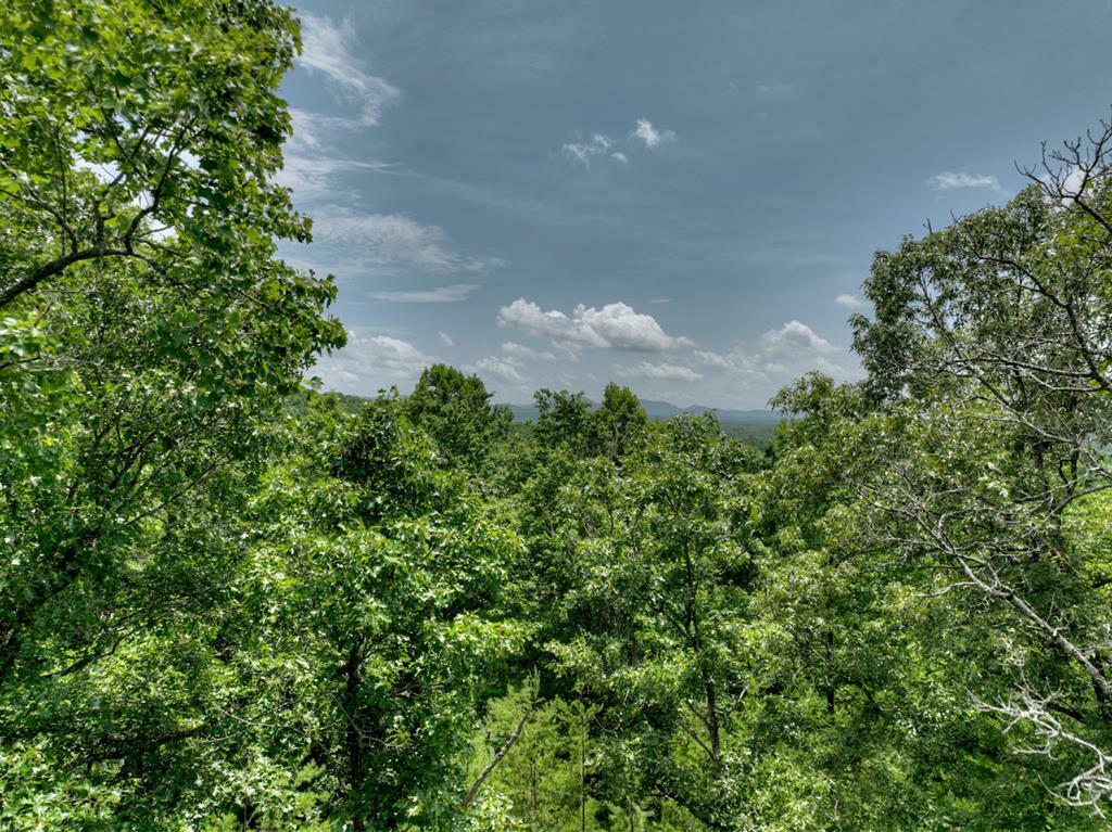 Property Photo:  Lt C Dillons Ridge Road  GA 30560 