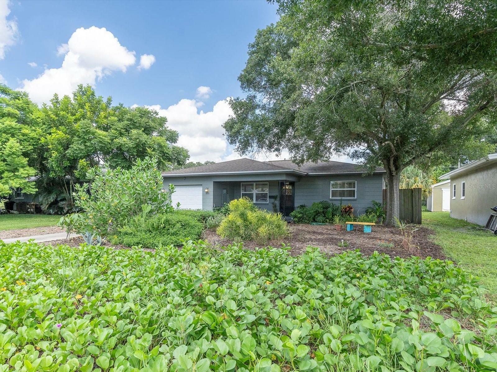 Property Photo:  3779 31st Avenue N  FL 33713 