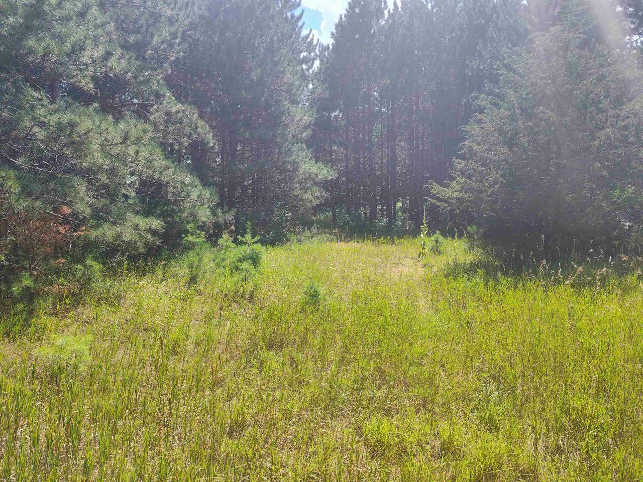 Lot 114 County Road Z  Arkdale WI 54613 photo