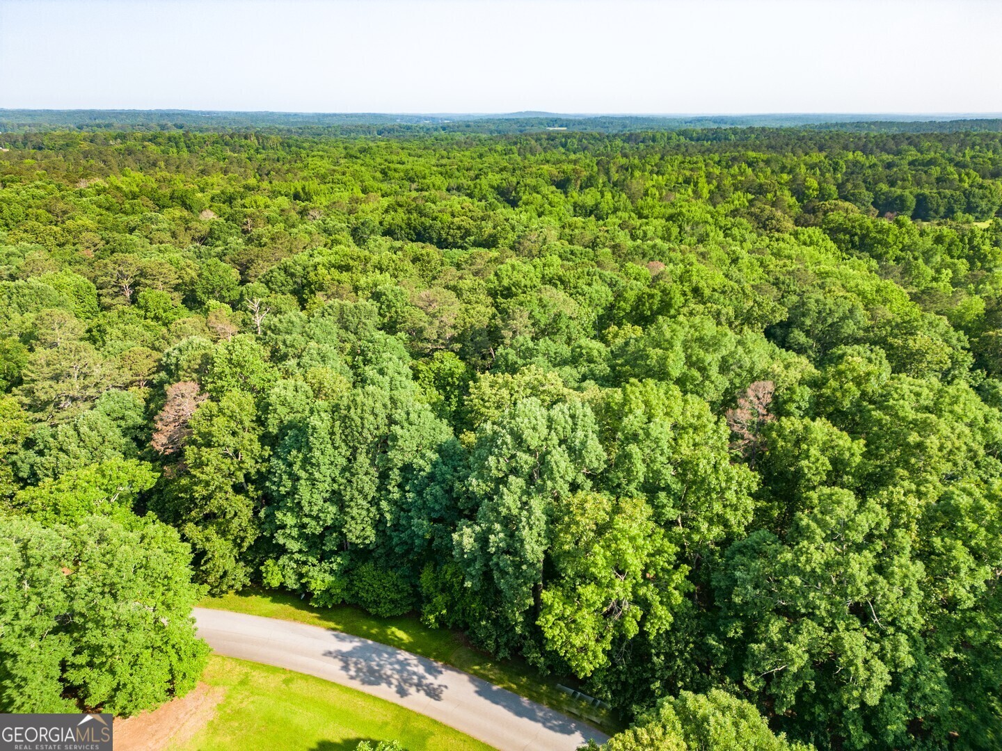 Property Photo: 190 River Cove Meadows GA 30025