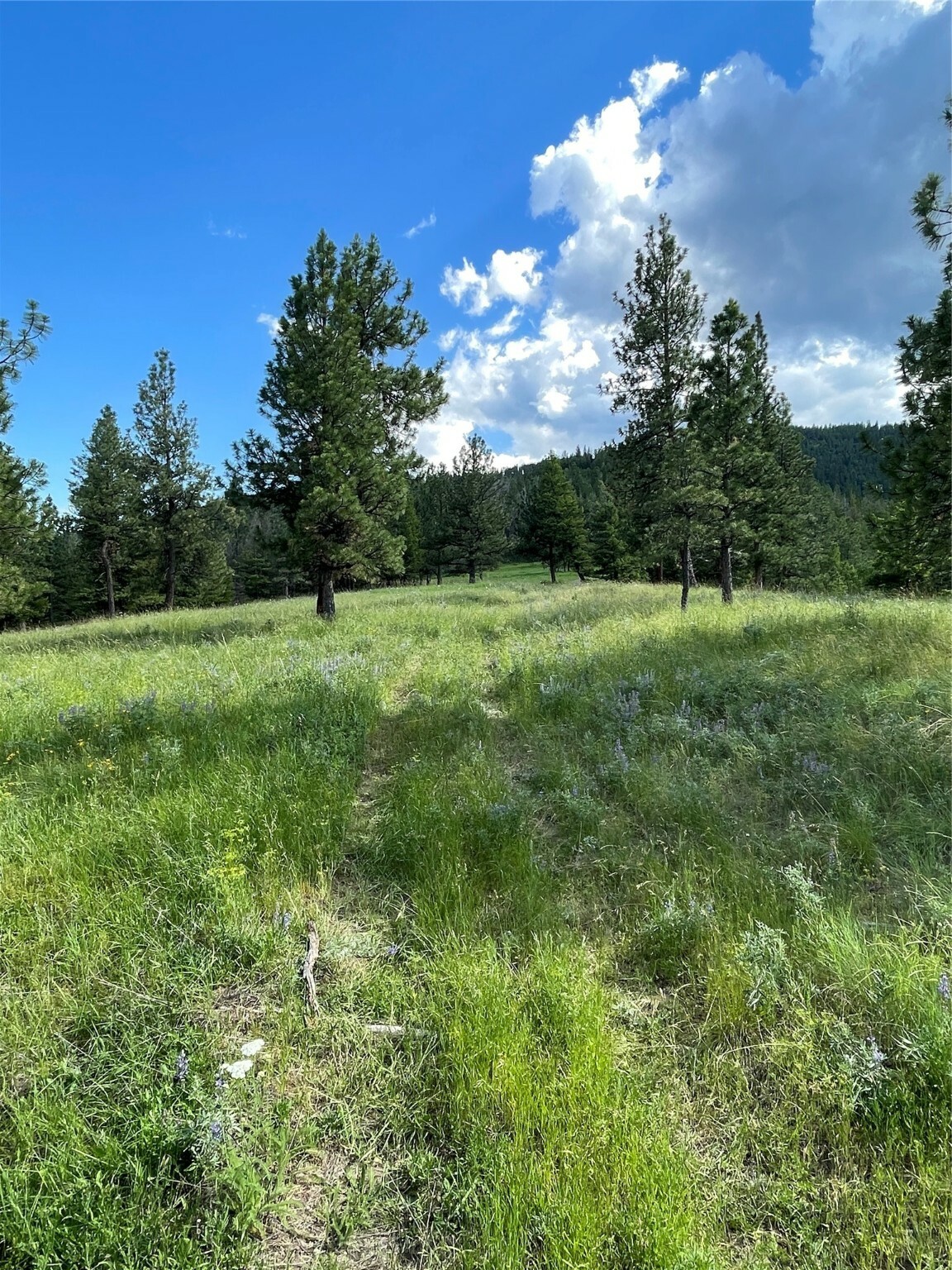 Property Photo: 2434 Morning Dun Road - Lot 2 Road MT 59804