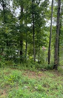 Property Photo:  Lot 10 Northpointe Dr  AL 35541 