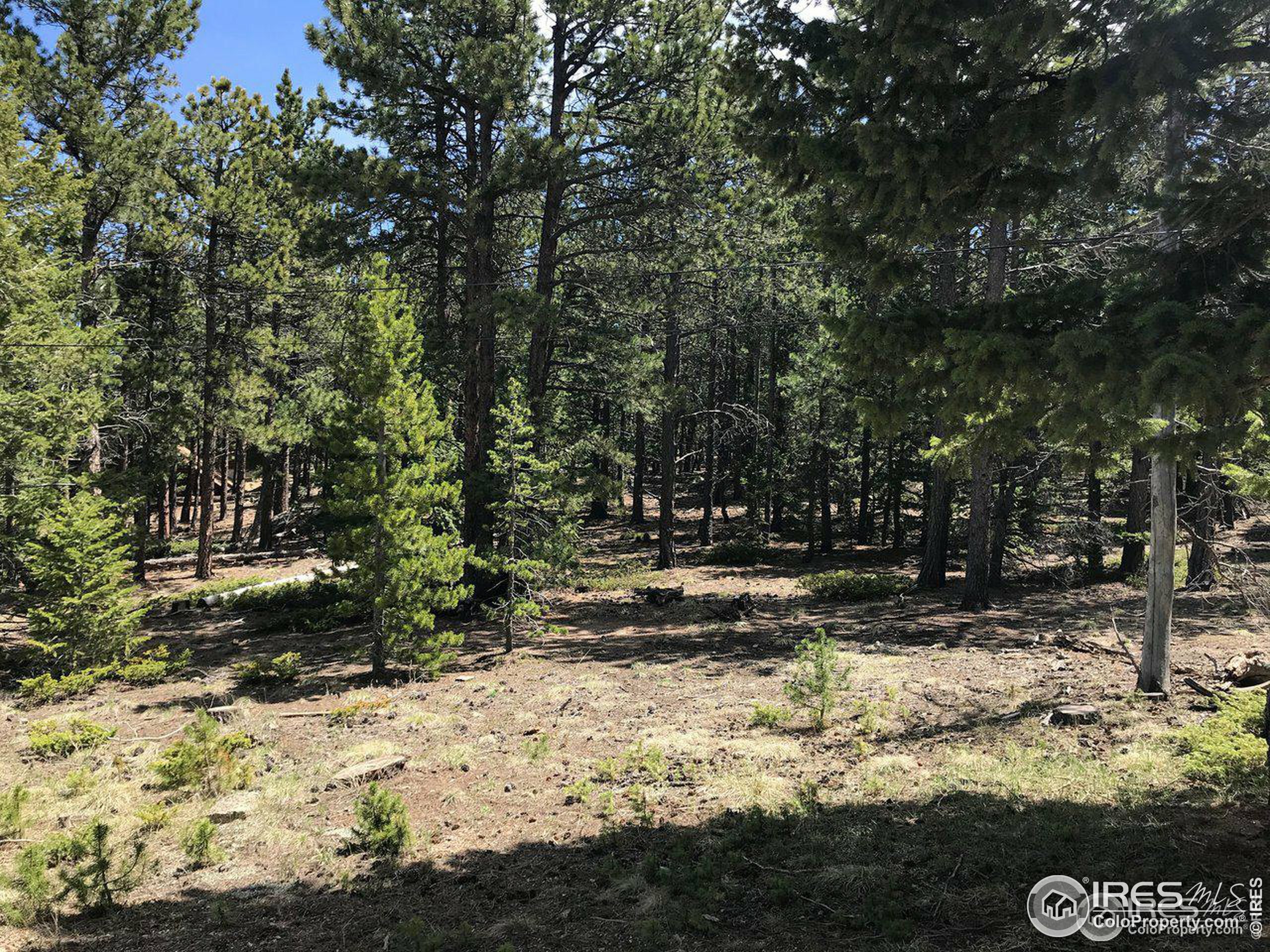 Property Photo:  575 Ranch Rd  CO 80481 