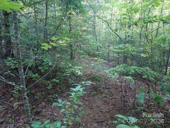 Property Photo:  V/L W Payne Road 1A  NC 28752 