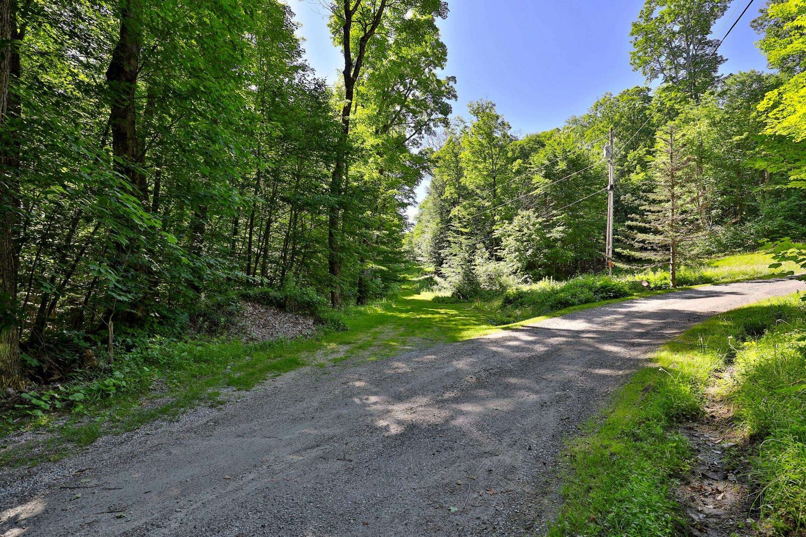 Property Photo: 430 Lower Rebecca Lane VT 05751