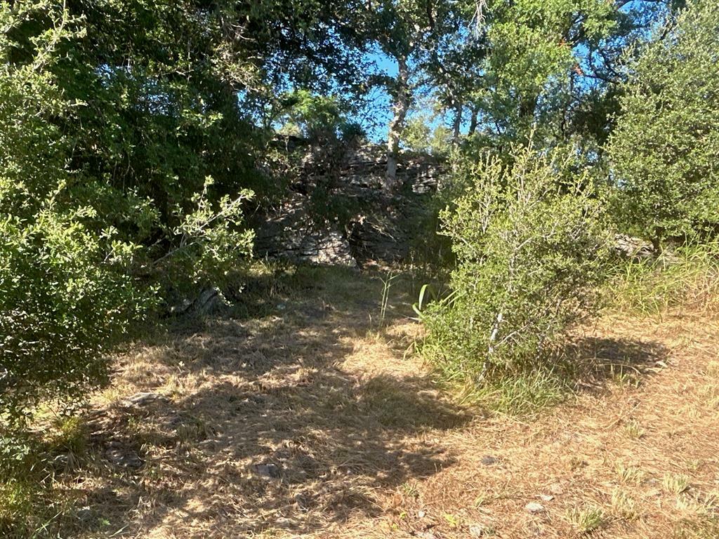 Property Photo: Tbd Cr 554, Brownwood Tx7 County Road 554 TX 76801