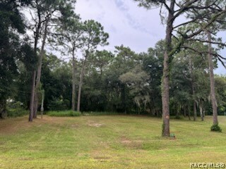 Property Photo:  2615 E Dawson Drive  FL 34453 