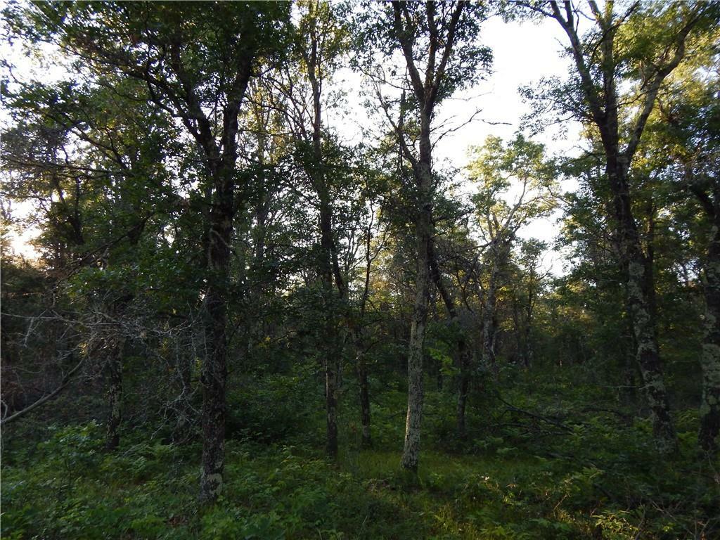 Property Photo:  Xxx Namekagon Trail  WI 54830 