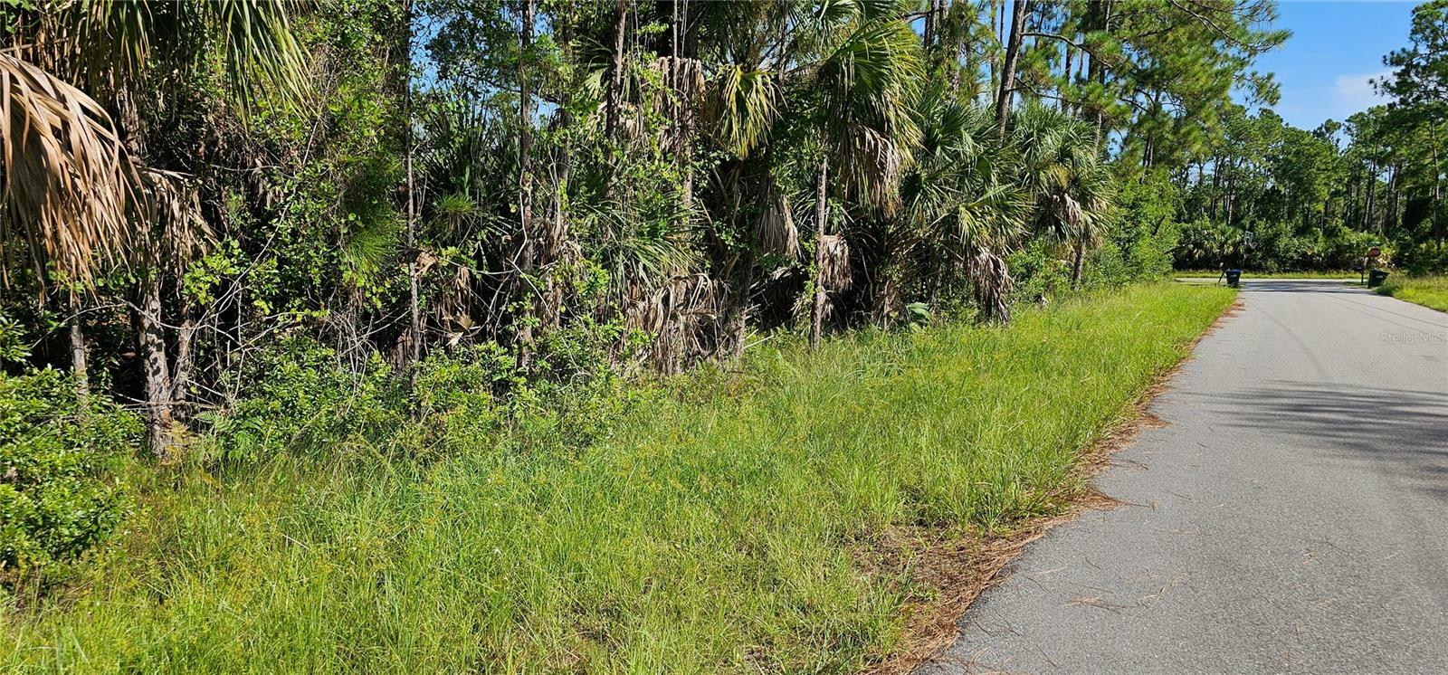 Property Photo:  Lummus Street  FL 34286 