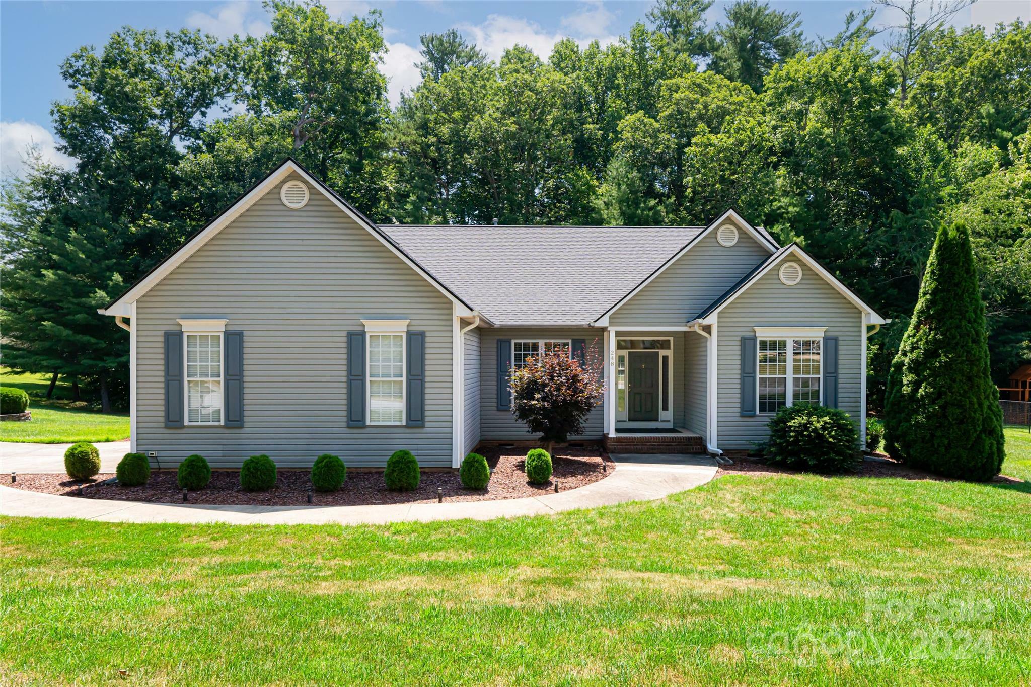 Property Photo:  248 River Birch Drive  NC 28732 