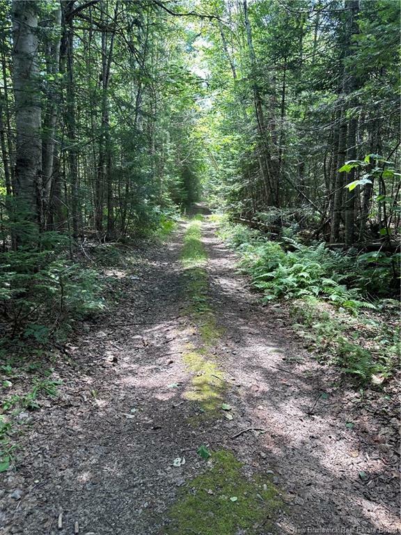 Property Photo:  Lot Charters Settlement Road  NB E3C 1Y4 