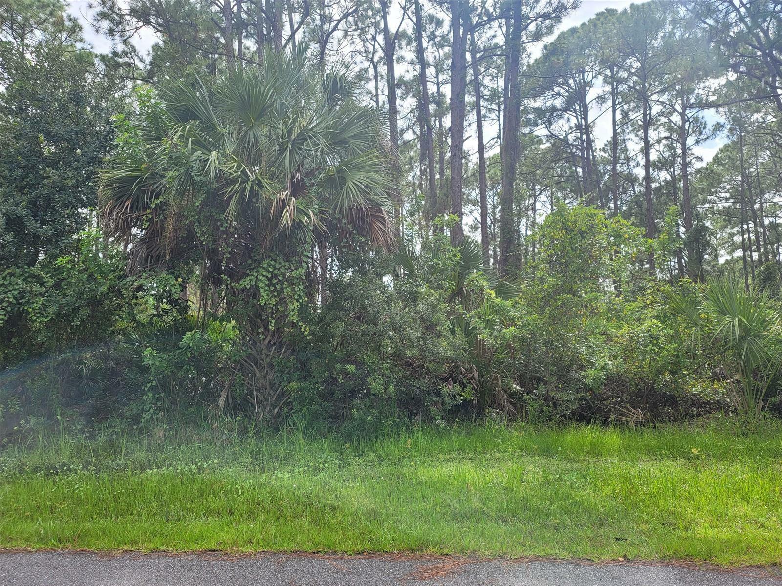 Property Photo:  12501 Welon Avenue  FL 33953 