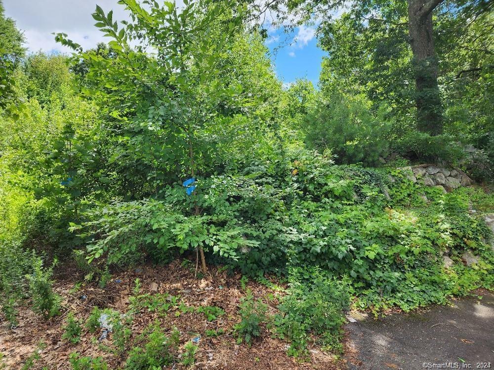 Property Photo:  105 Wadsworth Street  CT 06701 