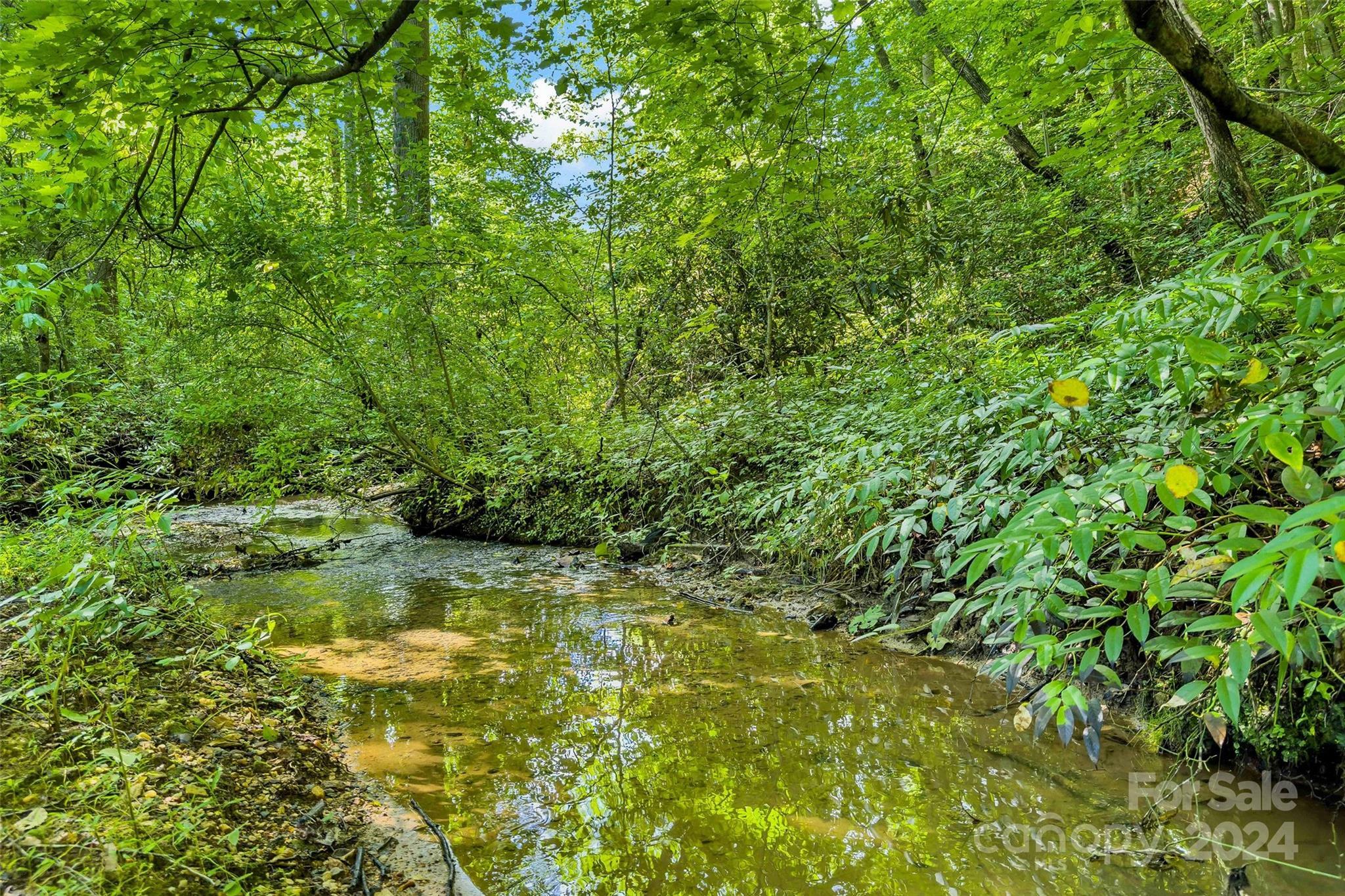 Property Photo:  203 Moffitt Branch Road Na  NC 28762 