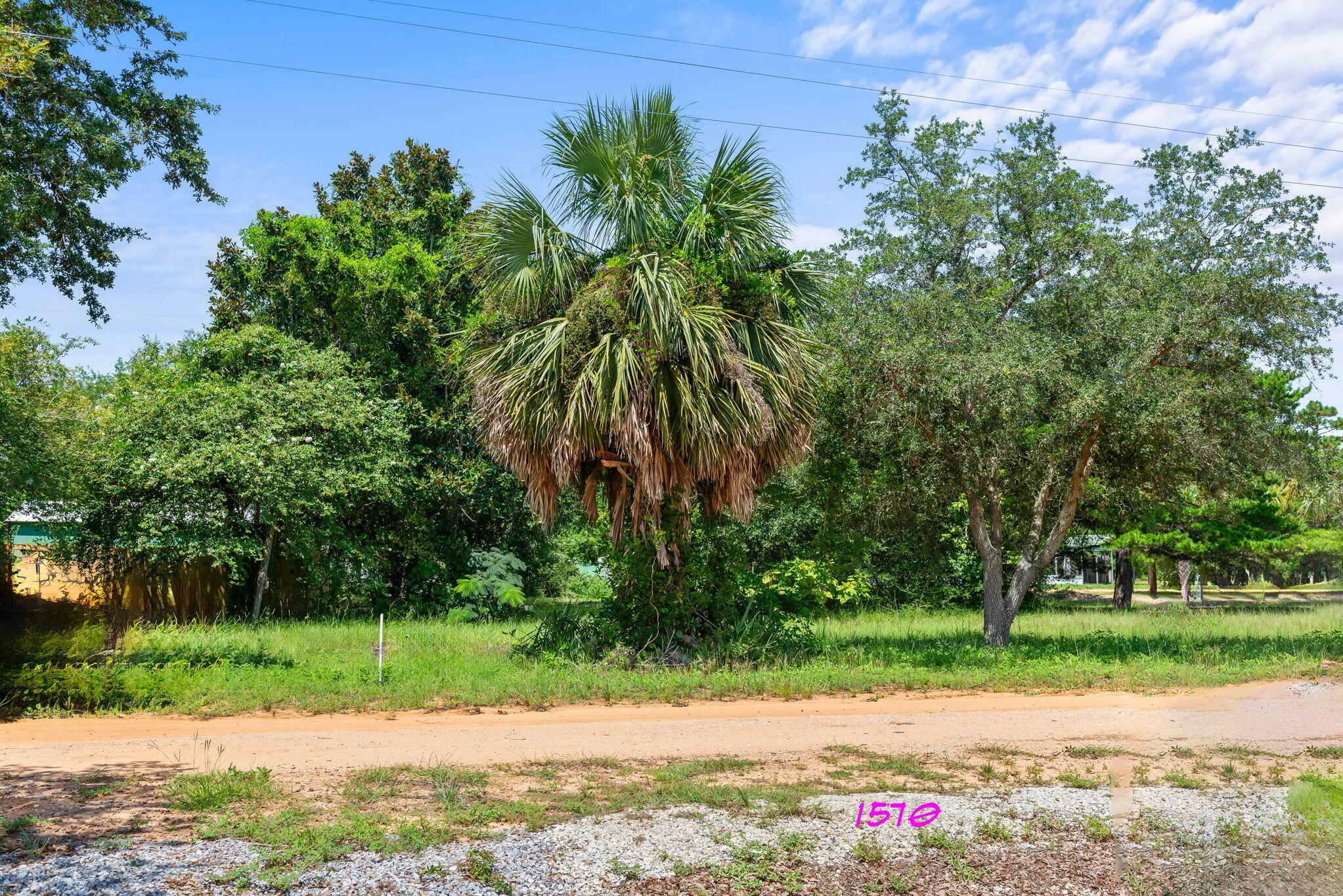 Property Photo:  1570 Sunny Oak Street  FL 32563 