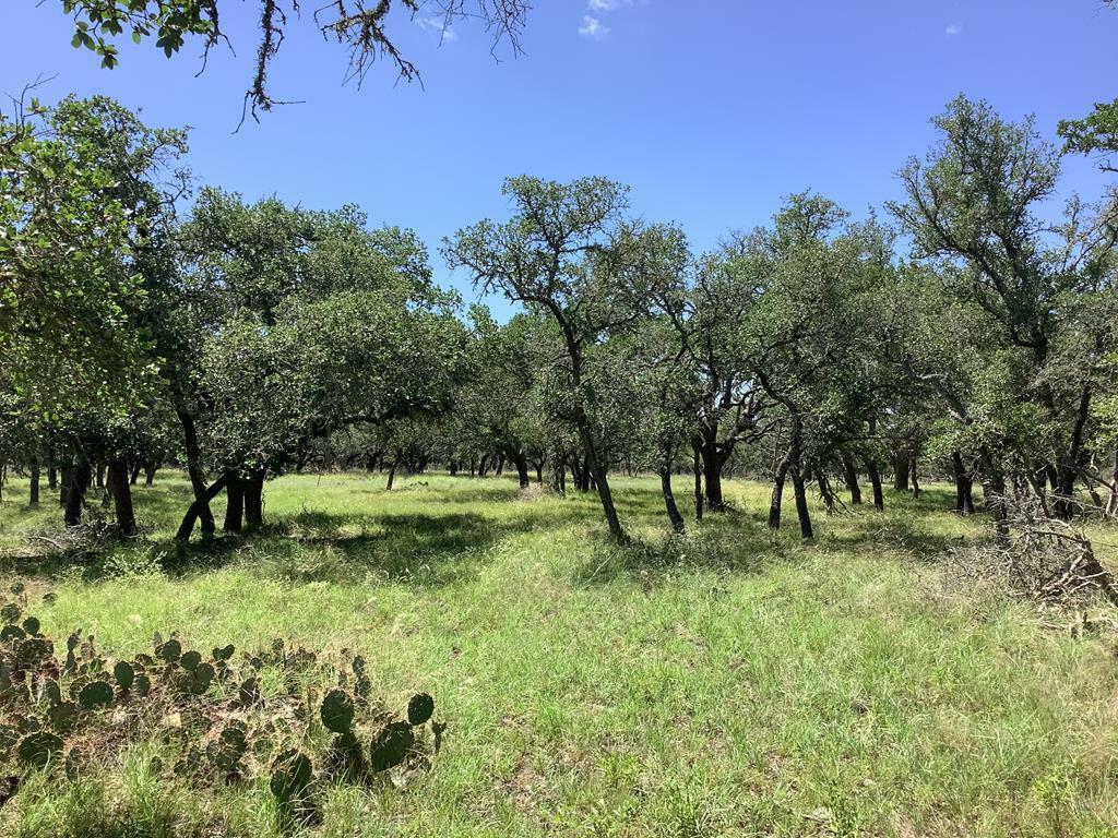 Property Photo:  477 Burrus Ranch Rd  TX 78058 