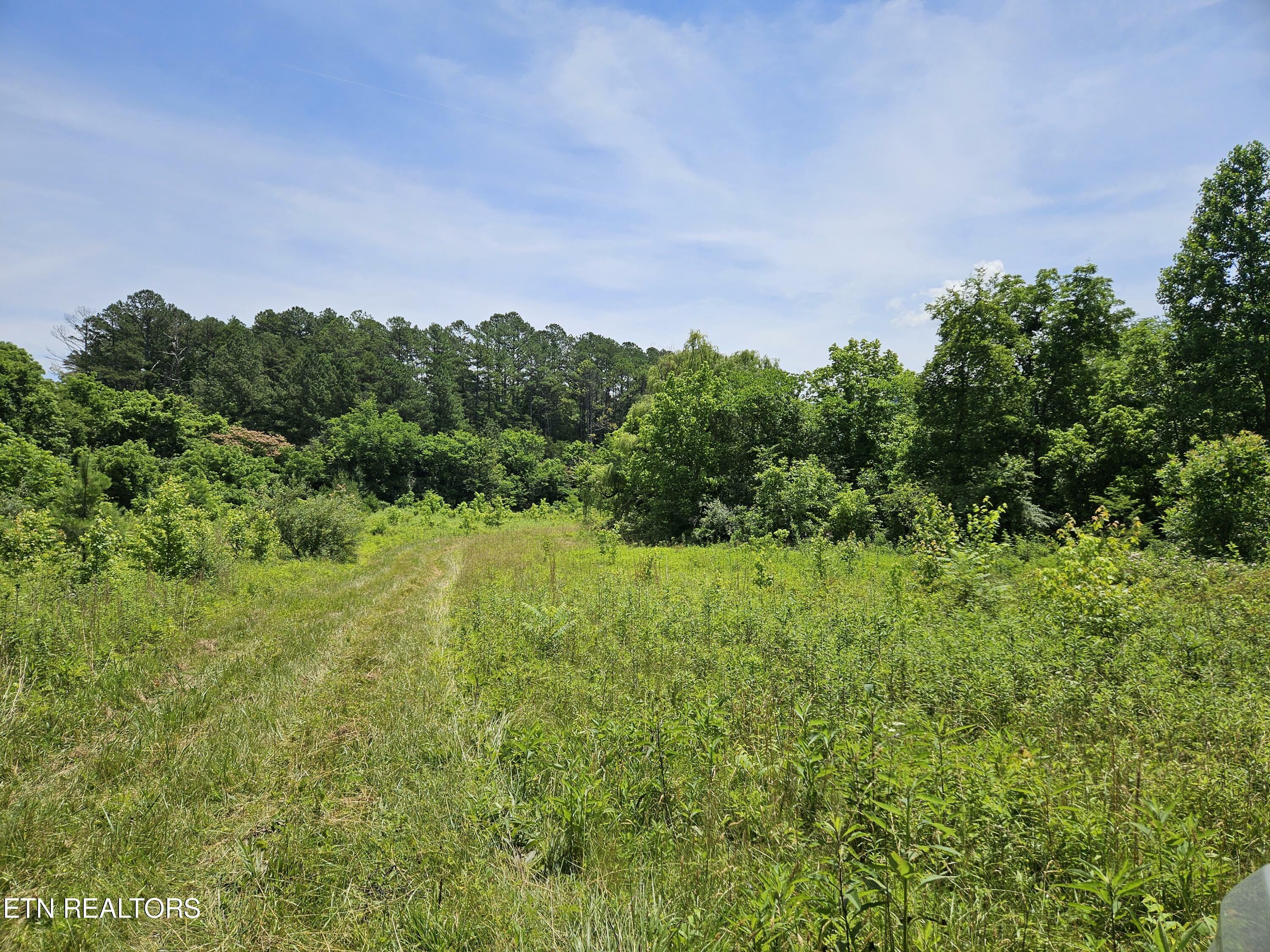 Property Photo:  Six Mile Rd  TN 37803 