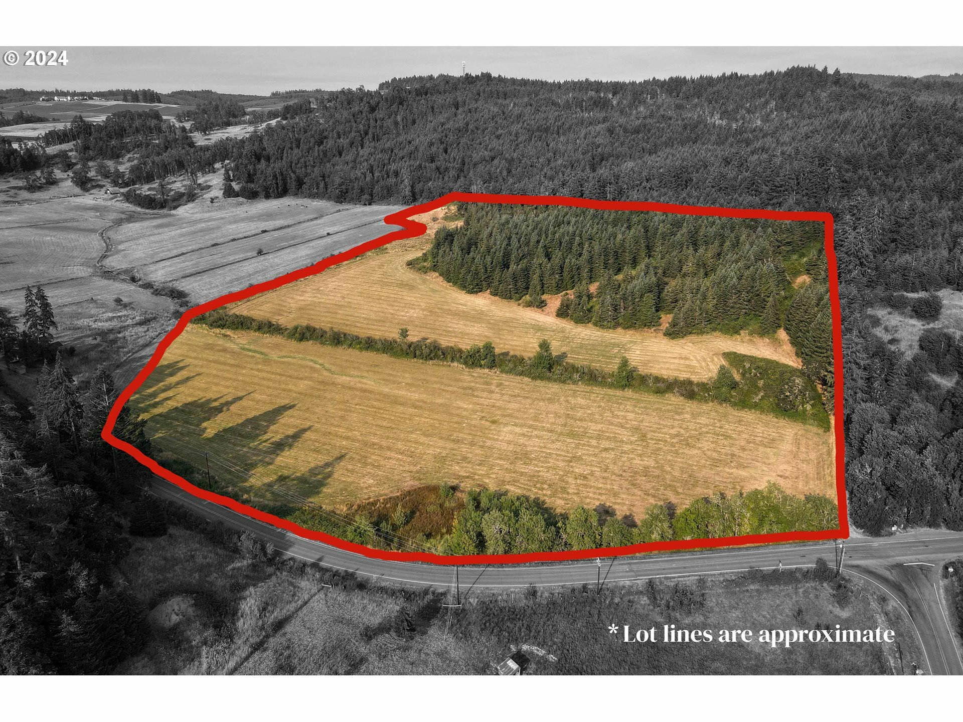 Property Photo: 000 Territorial Hwy OR 97405