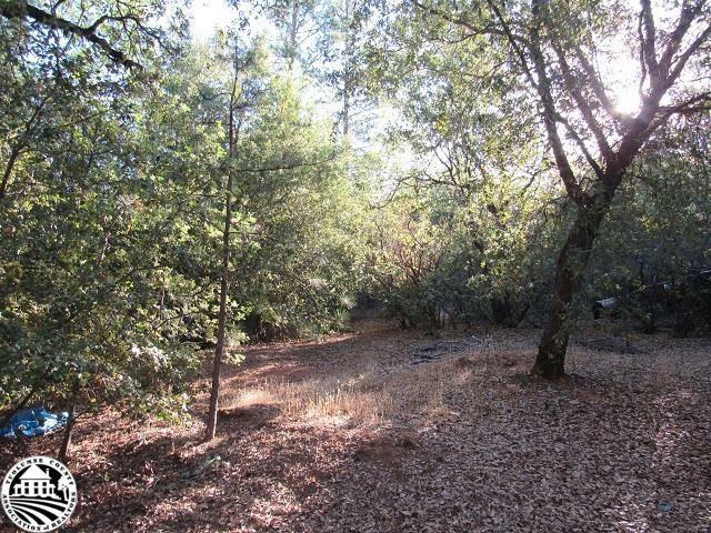 Property Photo:  Lot 31 Jupiter Mountaineer  CA 95383 