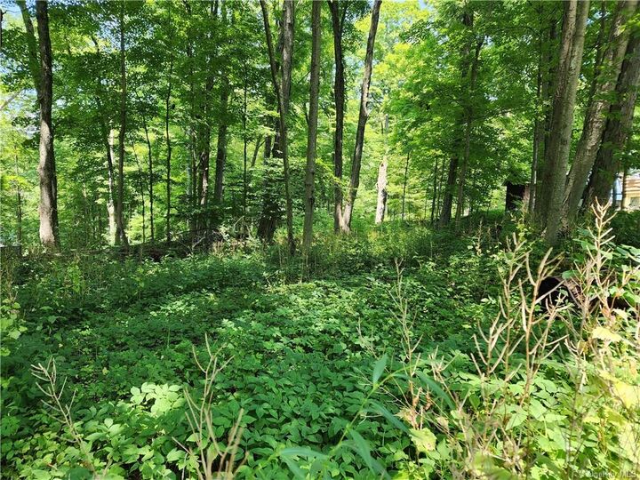 Property Photo: Rambler Road NY 10512