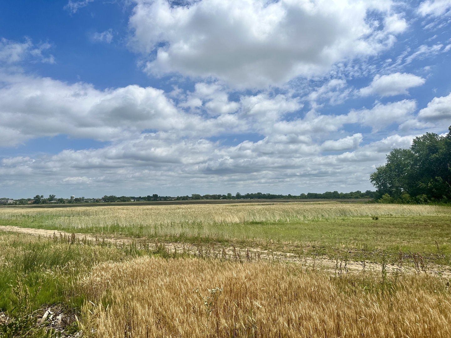 Property Photo:  2504 Glenwood Dyer Road  IL 60411 