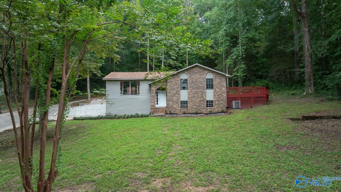 Property Photo:  163 Still Meadow Road  AL 35670 