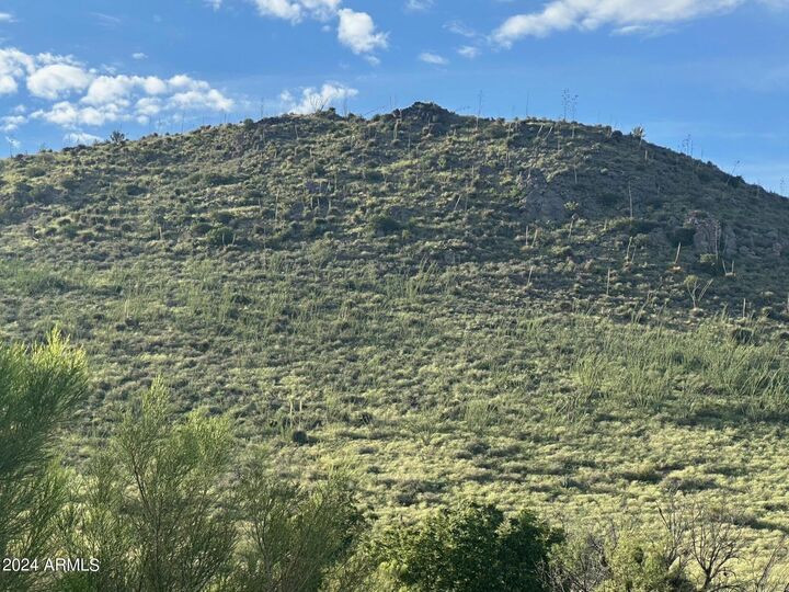 Property Photo:  2415 E Carr Canyon Road '-'  AZ 85615 