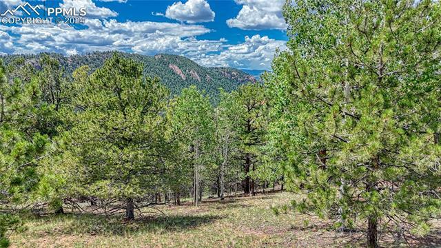 Property Photo: 24 Wild Horse Circle CO 80813