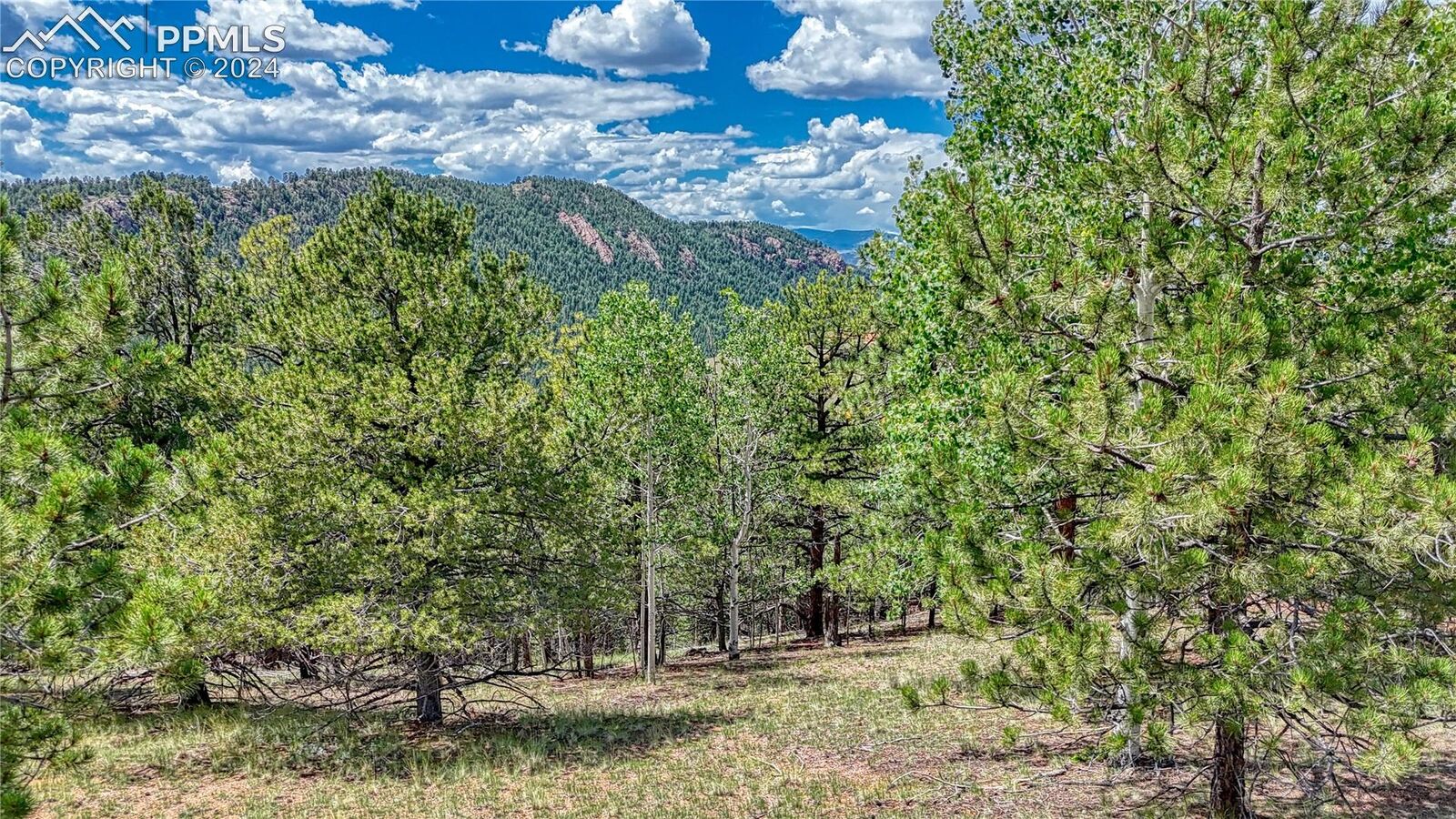 Property Photo:  24 Wild Horse Circle  CO 80813 