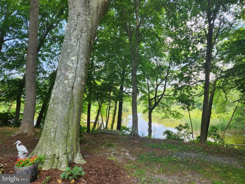 Property Photo:  3305 Blue Heron Way  MD 21822 