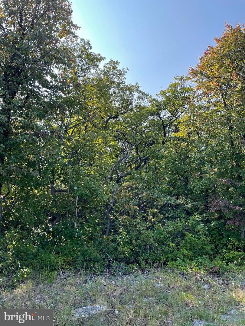 Property Photo: Lot 231 Timber Ridge VA 22602