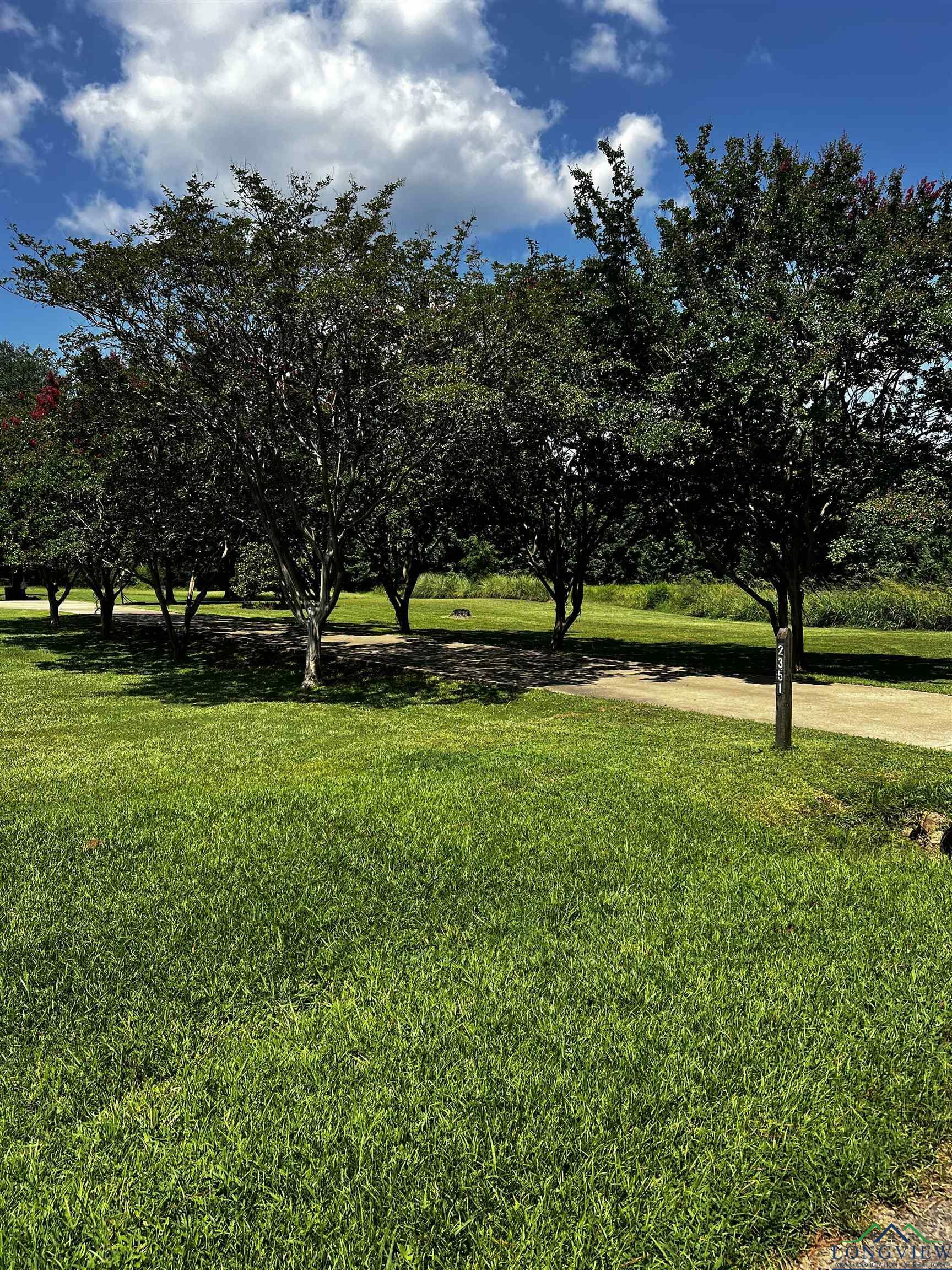 Property Photo:  2351 Waldrons Ferry Road  TX 75650 