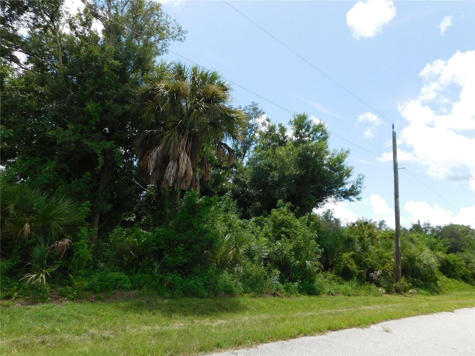 Property Photo:  13197 Rouding Circle  FL 33981 