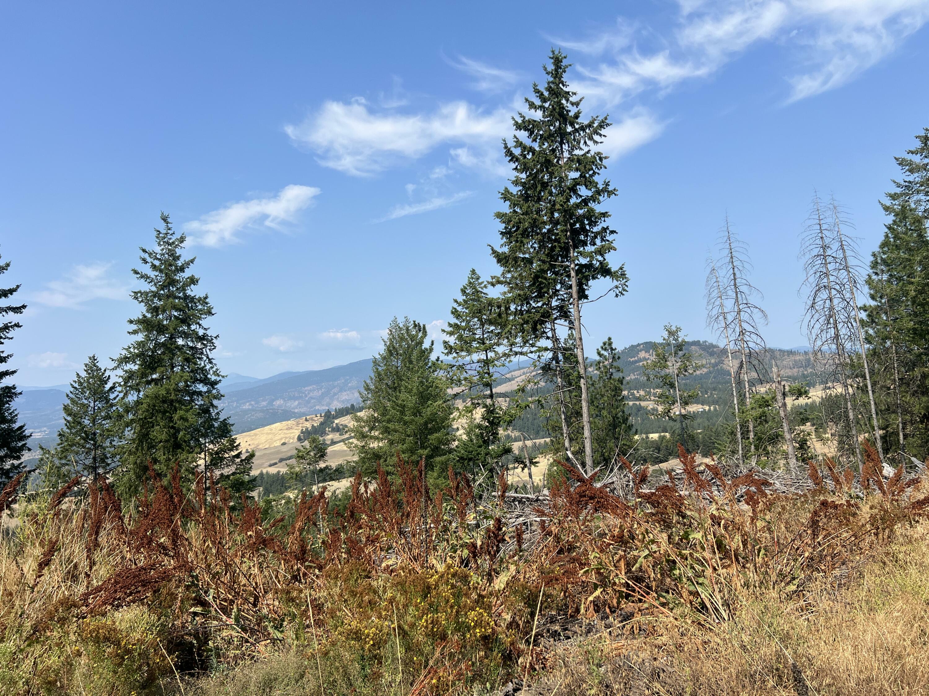 Property Photo:  Tbd Highland Loop Rd  WA 99114 