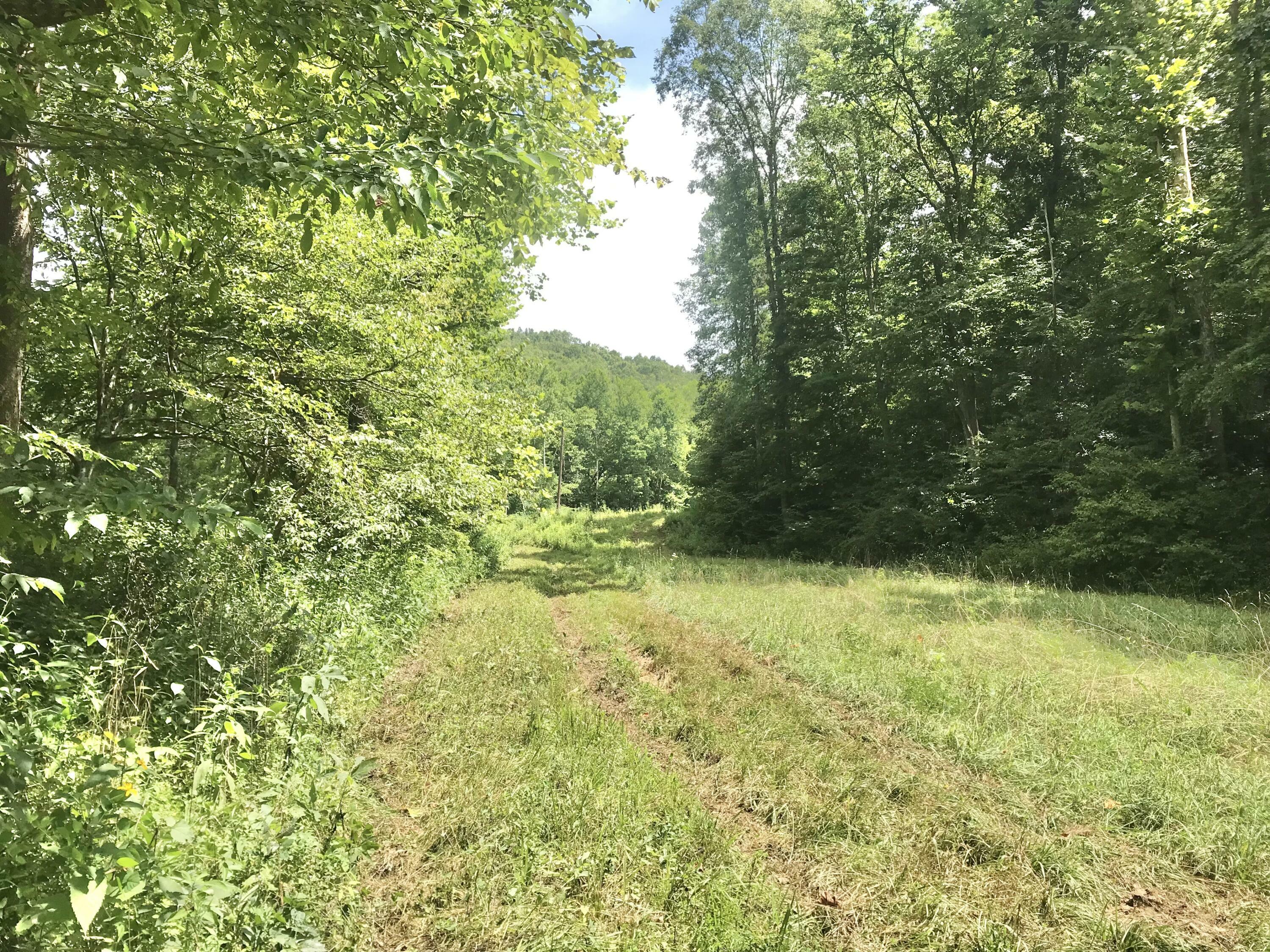 Property Photo:  2112 Elmer Stone Road  KY 41164 