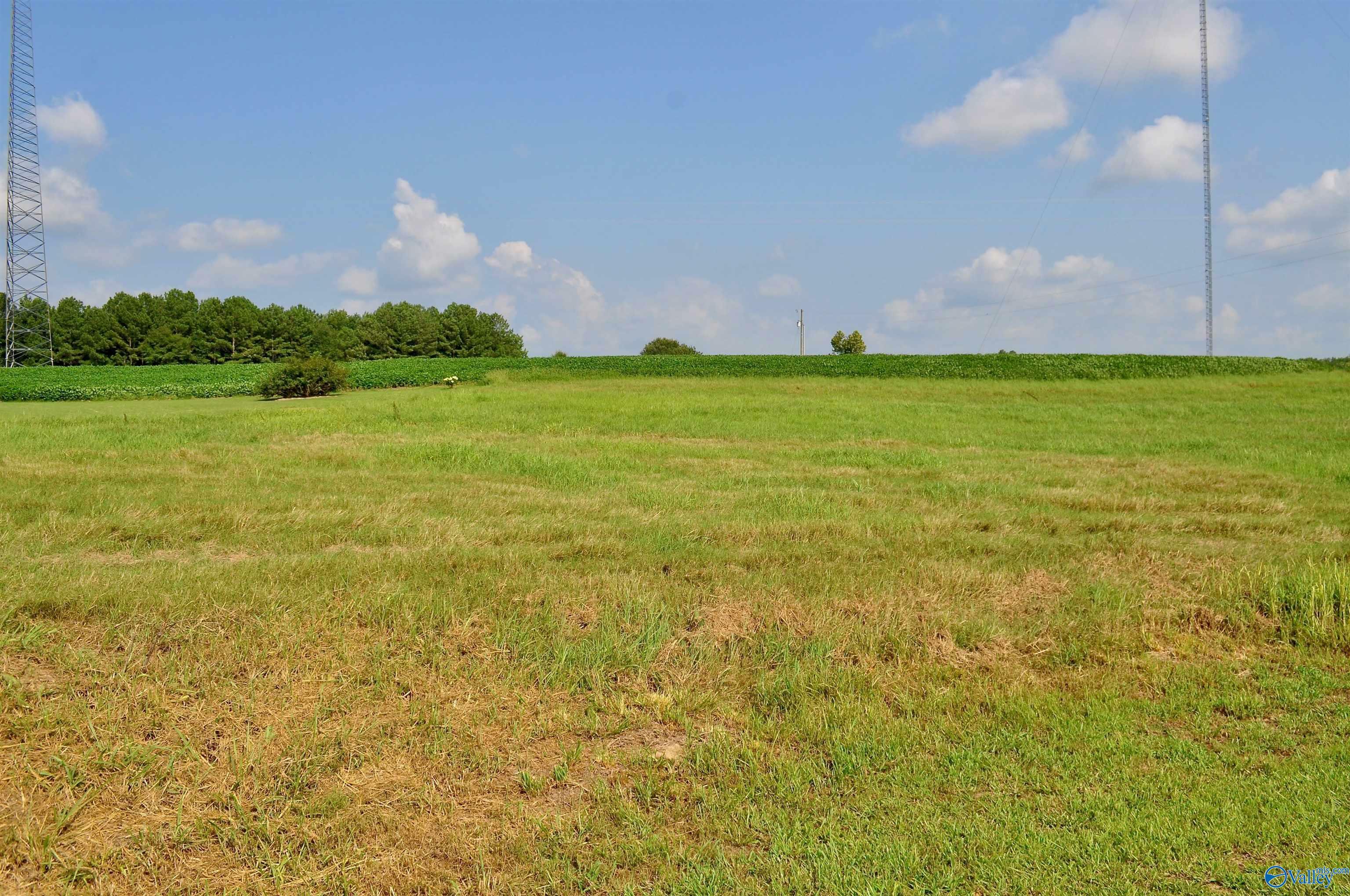 Property Photo:  Lot 13 Tiffany Drive  AL 35058 