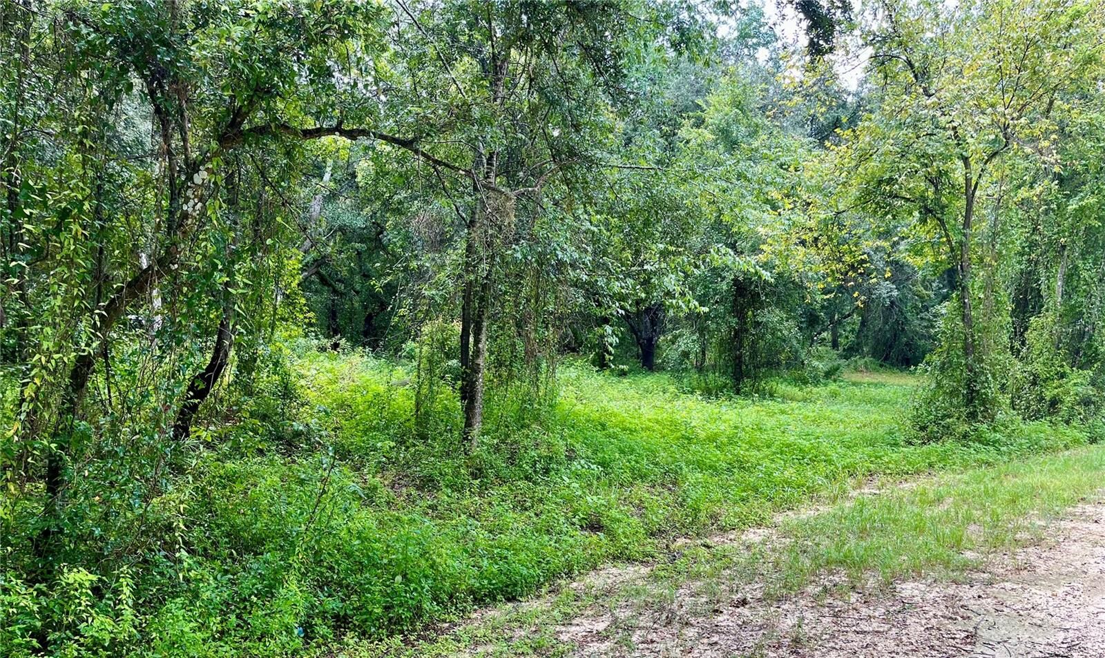 Property Photo:  Polaris Road  FL 33523 